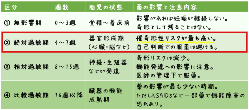 区分 週数 胎児の状態 薬の影響と注意内容 ① 無影響期 0〜3週 受精〜着床前 影響があれば妊娠が継続しない。 奇形として残ることはない。 ② 絶対過敏期 4〜7週 器官形成期（心臓・脳など） 催奇形性リスクが最も高い。 自己判断での服薬は避ける。 ③ 相対過敏期 8〜15週 神経・生殖器などが発達 奇形リスクは減少。 機能発達への影響に注意。医師の管理下で服薬。 ④ 比較過敏期 16週以降 臓器の機能成熟期 薬の影響が最も少ない時期。 ただしNSAIDsなど一部薬で機能障害の恐れあり。