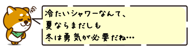 冷たいシャワーなんて、夏ならまだしも冬は勇気が必要だね…！