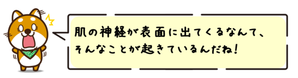 肌の神経が表面に出てくるなんて、そんなことが起きているんだね！