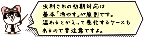 虫刺されの初期対応は基本「冷やす」が原則です。温めるとかえって悪化するケースもあるので要注意ですよ。