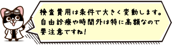 検査費用は条件で大きく変動します。自由診療や時間外は特に高額なので要注意ですね！