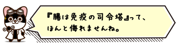 “腸は免疫の司令塔”って、ほんと侮れませんね。