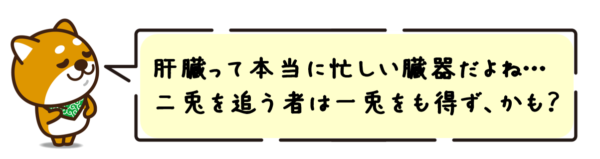 肝臓って本当に忙しい臓器だよね…二兎を追う者は一兎をも得ず、かも？