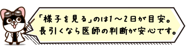 「様子を見る」のは1〜2日が目安。長引くなら医師の判断が安心です。