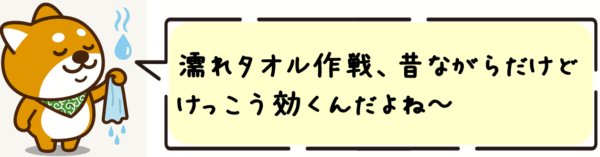 濡れタオル作戦、昔ながらだけどけっこう効くんだよね～