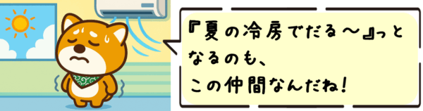 夏の冷房でだる〜っとするのも、この仲間なんだね!