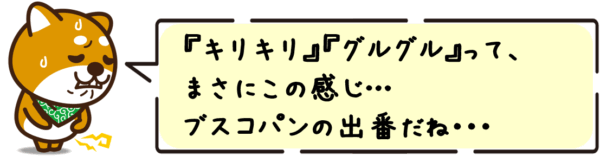“キリキリ”“グルグル”って、まさにこの感じ…ブスコパンの出番だね・・・