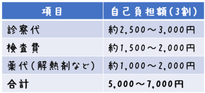 診察代・薬代含めた合計額