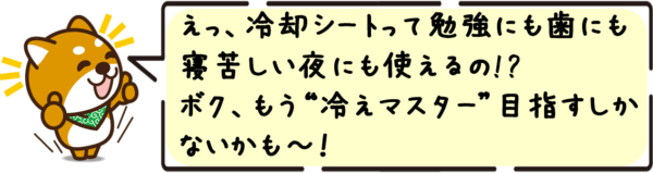 えっ、冷却シートって勉強にも歯にも寝苦しい夜にも使えるの!? ボク、もう“冷えマスター”目指すしかないかも〜！
