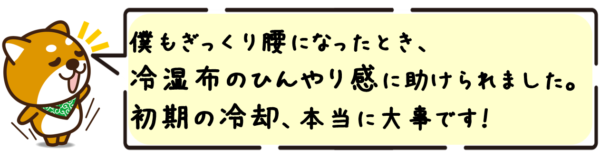 僕もぎっくり腰になったとき、冷湿布のひんやり感に助けられました。初期の冷却、本当に大事です！