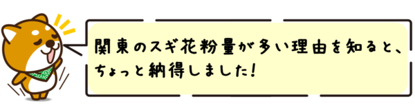 関東のスギ花粉量が多い理由を知ると、ちょっと納得しました！