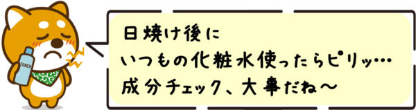 日焼け後にいつもの化粧水使ったらピリッ…成分チェック、大事だね〜