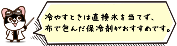 冷やすときは直接氷を当てず、布で包んだ保冷剤がおすすめです。