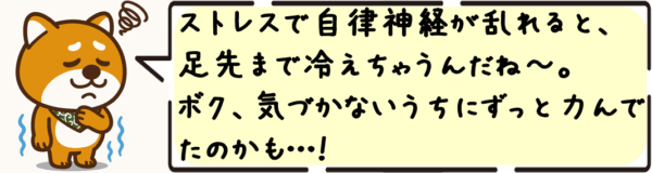 ストレスで自律神経が乱れると、足先まで冷えちゃうんだね〜。ボク、気づかないうちにずっと力んでたのかも…！