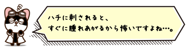 ハチに刺されると、すぐに腫れあがるから怖いですよね…。