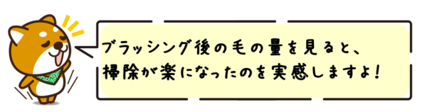 ブラッシング後の毛の量を見ると、掃除が楽になったのを実感しますよ！