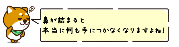 鼻が詰まると本当に何も手につかなくなりますよね！