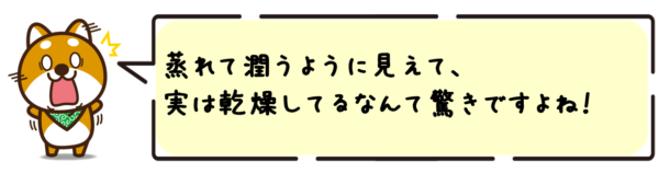 蒸れて潤うように見えて、実は乾燥してるなんて驚きですよね。