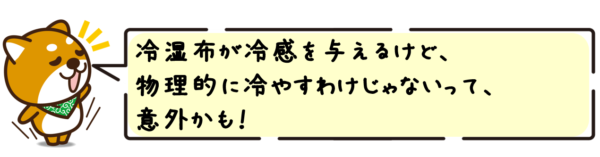 冷湿布が冷感を与えるけど、物理的に冷やすわけじゃないって、意外かも！