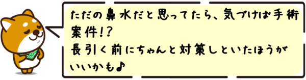 ただの鼻水だと思ってたら、気づけば手術案件！？長引く前にちゃんと対策しといたほうがいいかも！