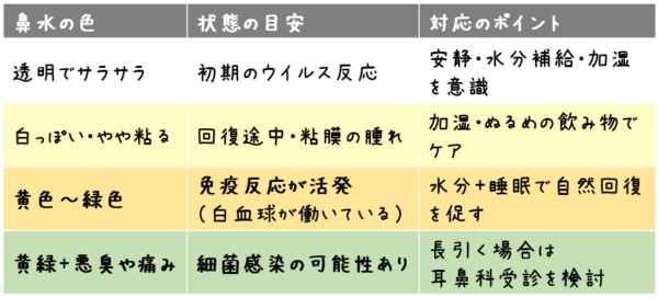 鼻水の色 状態の目安 対応のポイント 透明でサラサラ 初期のウイルス反応 安静・水分補給・加湿を意識 白っぽい・やや粘る 回復途中・粘膜の腫れ 加湿・ぬるめの飲み物でケア 黄色〜緑色 免疫反応が活発（白血球が働いている） 水分＋睡眠で自然回復を促す 黄緑＋悪臭や痛み 細菌感染の可能性あり 長引く場合は耳鼻科受診を検討