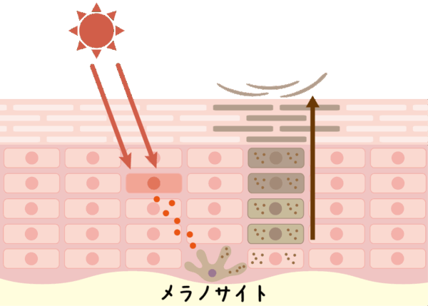 サンタン