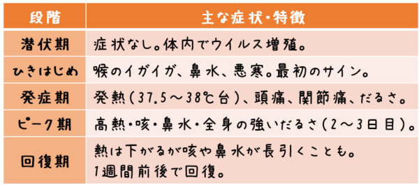 段階 主な症状・特徴 潜伏期 症状なし。 体内でウイルス増殖。 ひきはじめ 喉のイガイガ、鼻水、悪寒。 最初のサイン。 発症期 発熱（37.5〜38℃台）、頭痛、関節痛、だるさ。 ピーク期 高熱・咳・鼻水・全身の強いだるさ（2〜3日目）。 回復期 熱は下がるが咳や鼻水が長引くことも。 1週間前後で回復。